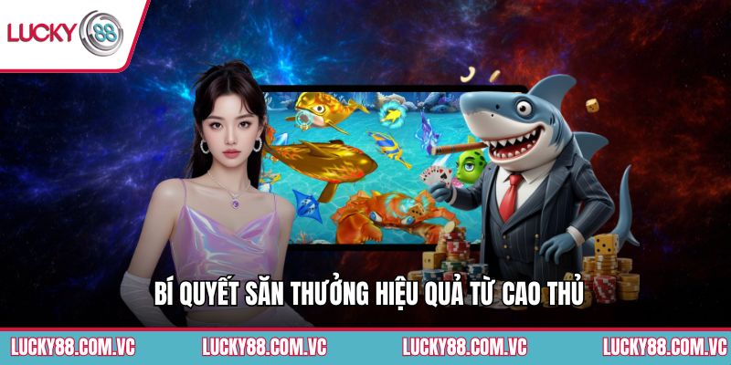 Bí quyết săn thưởng hiệu quả từ cao thủ