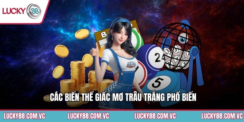 Các biến thể giấc mơ trâu trắng phổ biến