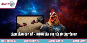 Cách Băng Cựa Gà - Hướng Dẫn Chi Tiết Từ Chuyên Gia