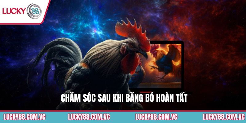 Chăm sóc sau khi băng bó hoàn tất