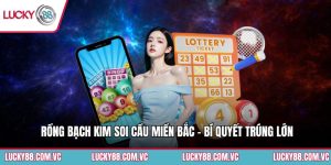 Rồng Bạch Kim Soi Cầu Miền Bắc - Bí Quyết Trúng Lớn