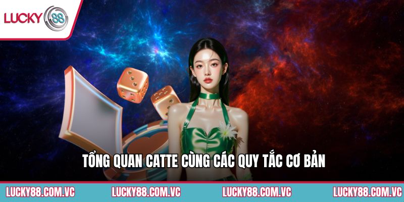 Tổng quan Catte cùng các quy tắc cơ bản